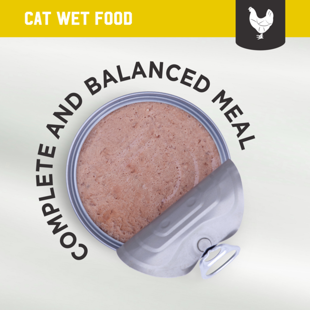 Kiwi Kitchens Chicken Wet Cat Food - Product Image 8
