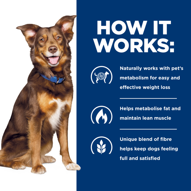 Hill's Prescription Diet Metabolic Weight Loss & Maintenance Dry Dog Food - Product Image 4