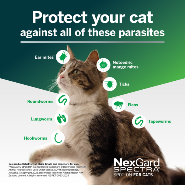 NexGard Spectra Cat Spot-On Flea Tick & Worm Treatment - Product Image 3