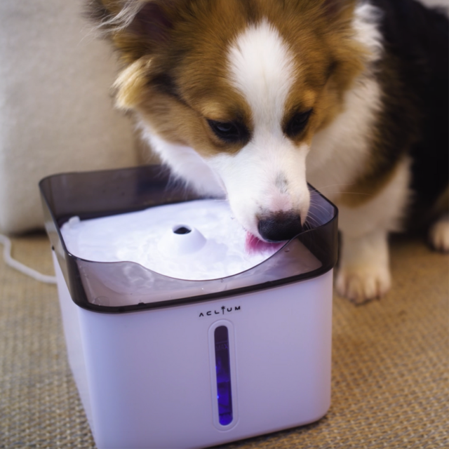 Aclium Dog Water Fountain - Product Image 1