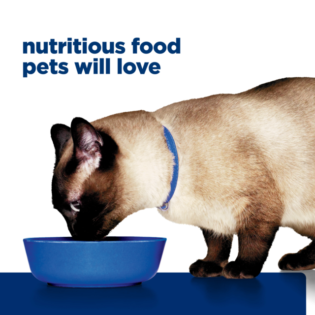 Hill's Prescription Diet z/d Food Sensitivities Dry Cat Food - Product Image 14