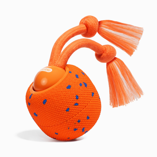 Cheerble Wicked Ball Rolly Smart Dog Toy - Product Image 1