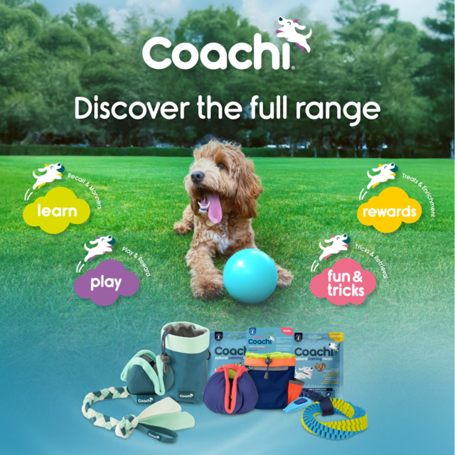 Company of Animals Coachi Boomi Ball Dog Toy - Product Image 8