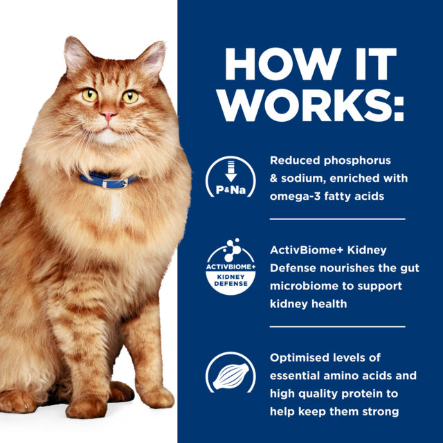 Hill's Prescription Diet k/d j/d Kidney + Mobility Dry Cat Food - Product Image 3