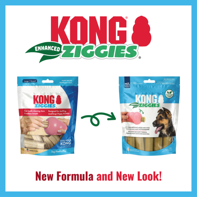 KONG Ziggies Enhanced Puppy Dog Treat - Product Image 4