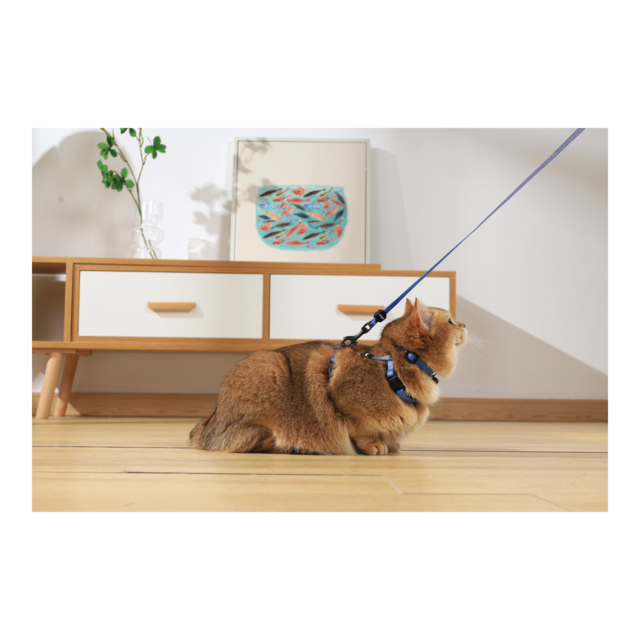 M-PETS Gentle Cat Collar - Product Image 9
