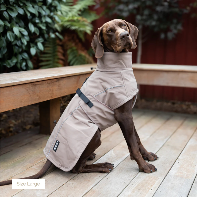 Pointer & Hound Waterproof Dog Jacket  - Product Image 2