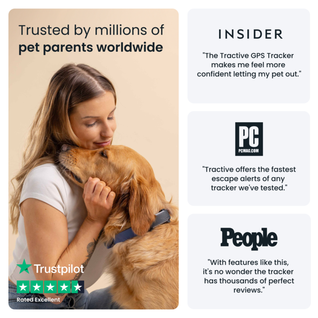 Tractive Dog 6 GPS  and Health Tracker  - Product Image 9