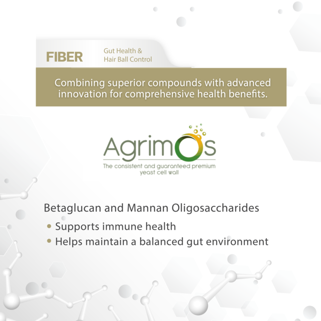 VetSynova VF+ Core FIBER Gut Health & Hairball Control Cat Supplement - Product Image 5