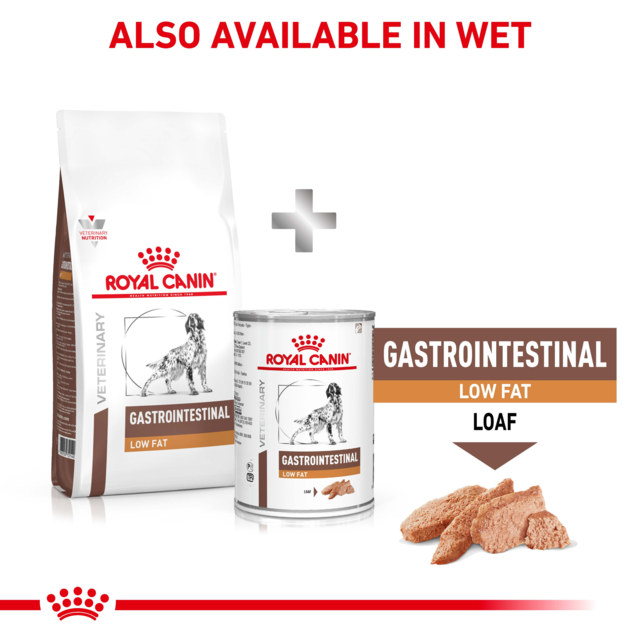 Royal Canin Vet Gastrointestinal Low Fat Dry Dog Food - Product Image 4