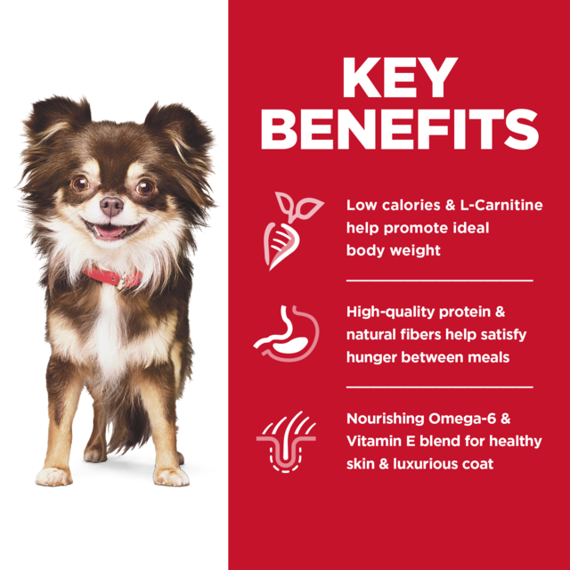 Hill's Science Diet Adult Sensitive Stomach & Skin Small & Mini Dry Dog Food - Product Image 3