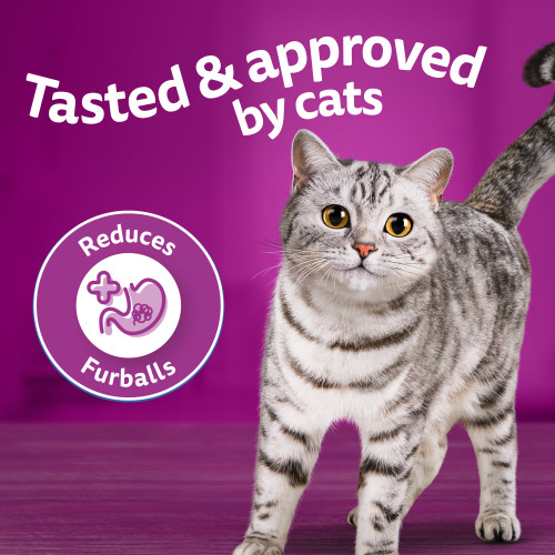 Whiskas Adult Furball Sardine & Prawn Dry Cat Food - Product Image 1