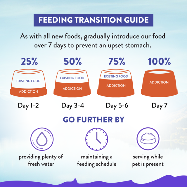 Addiction MEGA Hearty Chicken Stew Gravy Wet Dog Food - Product Image 6
