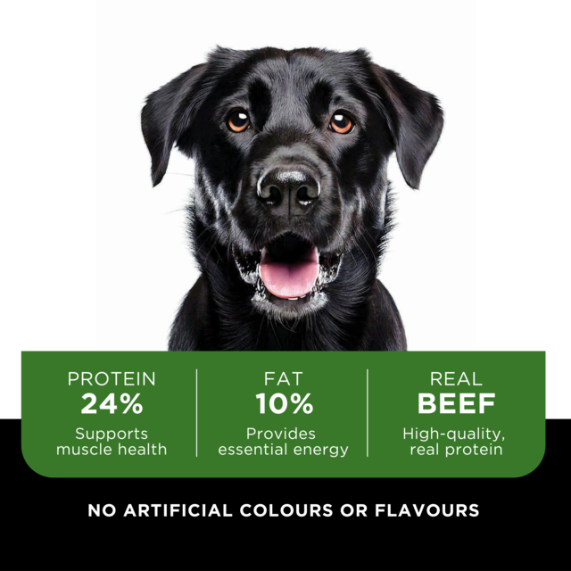 Wild Paw Adult Beef Dry Dog Food - Product Image 1