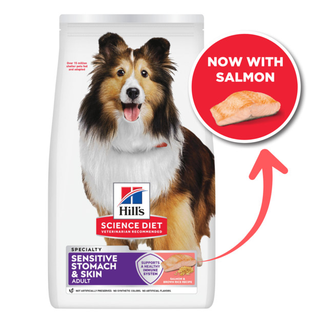 Hill's Science Diet Adult Sensitive Stomach & Skin Salmon Dry Dog Food - Product Image