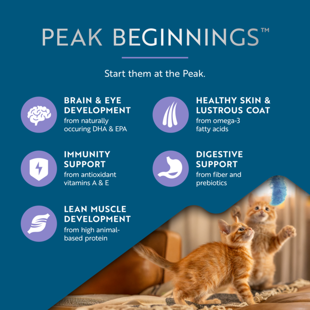 ZIWI Peak Kitten Steam & Dried Chicken & Southern Blue Whiting Dry Cat Food - Product Image 6