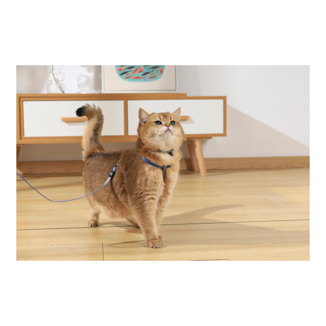 M-PETS Gentle Cat Harness and Leash Set - Product Image 8