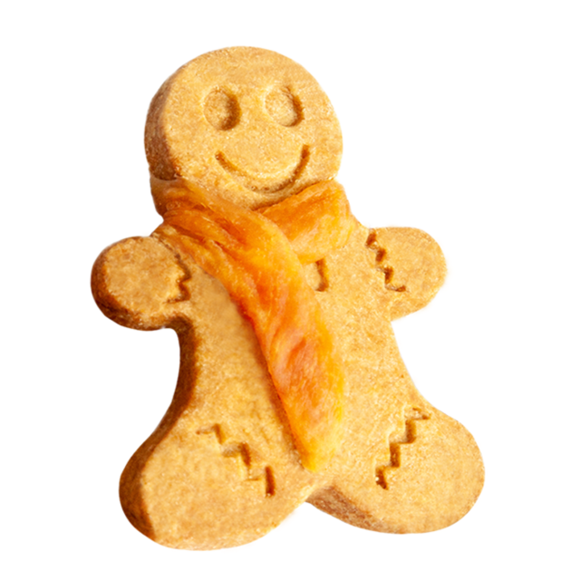 Wanpy Gingerbread Biscuits with Chicken Dog Treats - Product Image 1