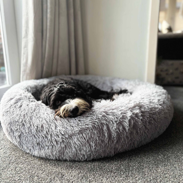  Pup & Purr Dreamy Paws Calming Cat and Dog Bed - Product Image 4