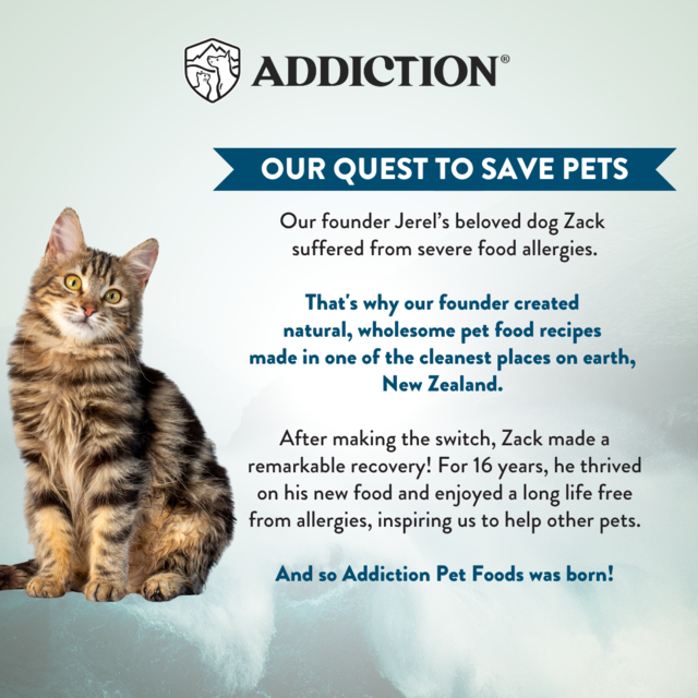 Addiction Wild Islands King Salmon Grain-Free Wet Cat Food - Product Image 9