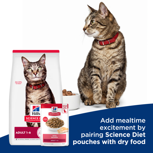 Hill's Science Diet Adult Salmon in Gravy Fish Wet Cat Food - Product Image 8