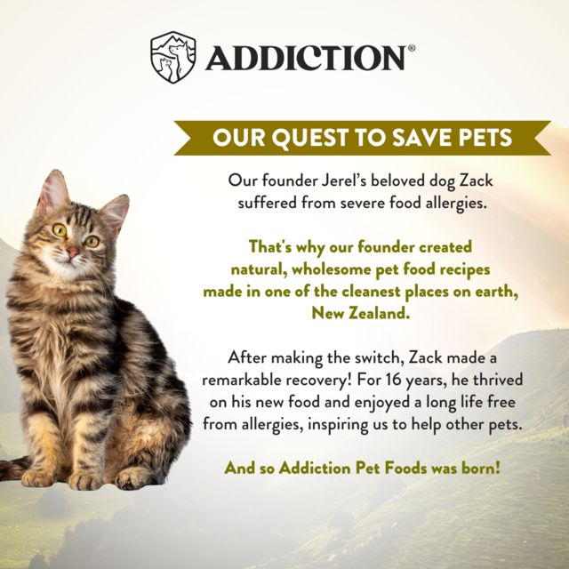 Addiction Wild Islands Highland Beef & Lamb Grain-Free Wet Cat Food - Product Image 9