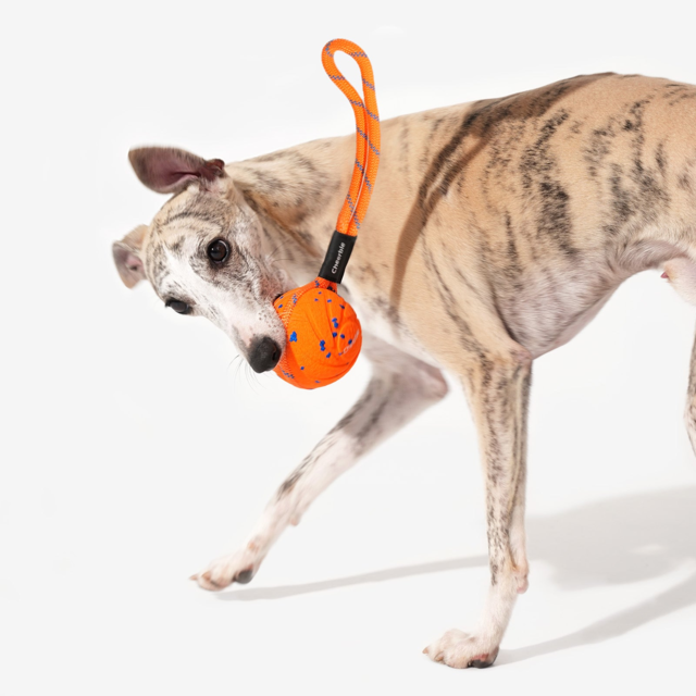 Cheerble Wicked Ball Air Rope Smart Dog Toy - Product Image 5