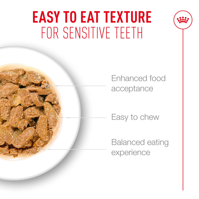 Royal Canin Ageing 11+ in Jelly Wet Cat Food - Product Image 5