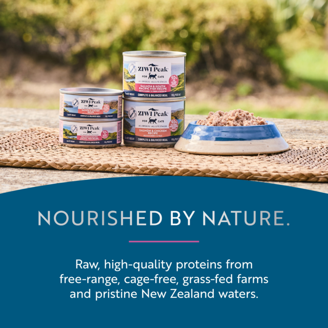 ZIWI Peak Salmon & South Pacific Fish Wet Cat Food - Product Image 10