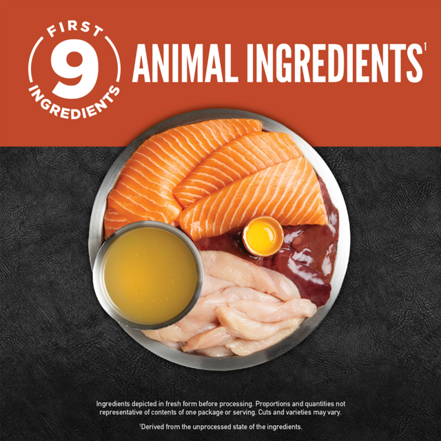 Orijen Salmon & Chicken Entrée Chunks & Shreds in Bone Broth Wet Cat Food - Product Image 2
