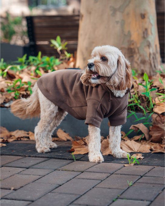 Dog Friendly Co. Winter Dog Hoodie - Product Image 3
