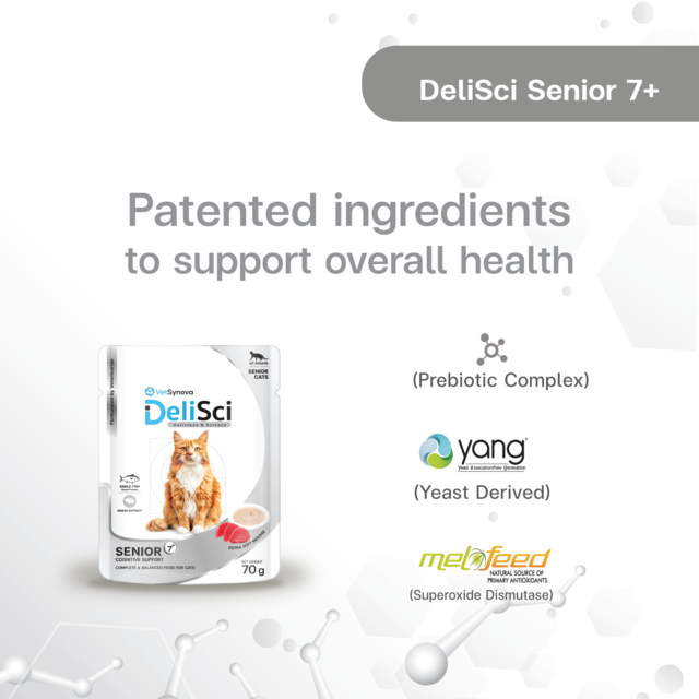 VetSynova DeliSci Senior 7+ Mousse Wet Cat Food - Product Image 3