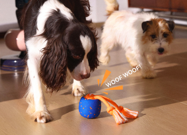 Cheerble  Wicked Ball Rolly Smart Dog Toy - Product Image 10