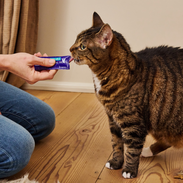 Ark Naturals Kiss Me-Ow Lickable Dental Tuna Cat Treats - Product Image 4
