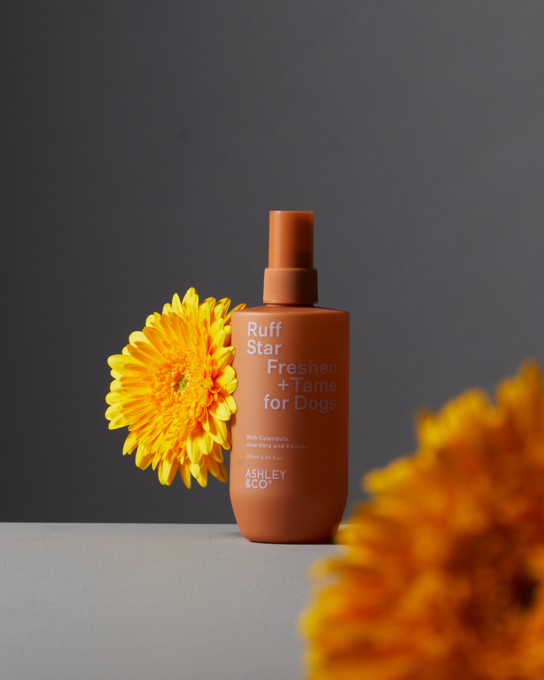 Ashley and Co Ruff Star Dog Freshen & Tame Spray - Product Image 4