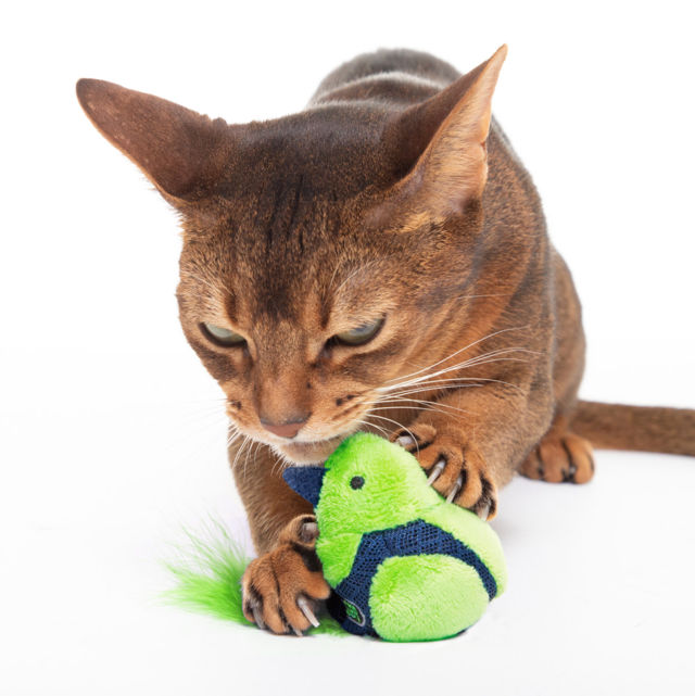 JOYSER Interactive Bird Cat Toy - Product Image 4