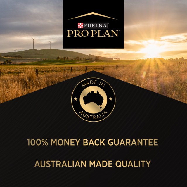 Pro Plan Kitten Chicken Dry Cat Food - Product Image 9