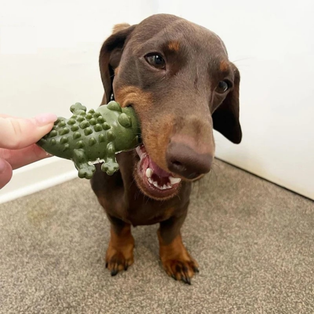 Mak's Patch Dental Crocodile Dog Treats - Product Image 2