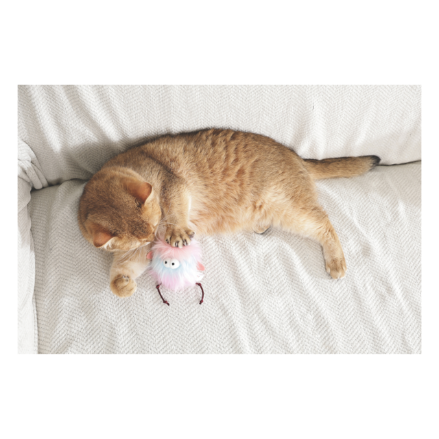 M-PETS Fluffy Loo Doll Cat Toy - Product Image 4