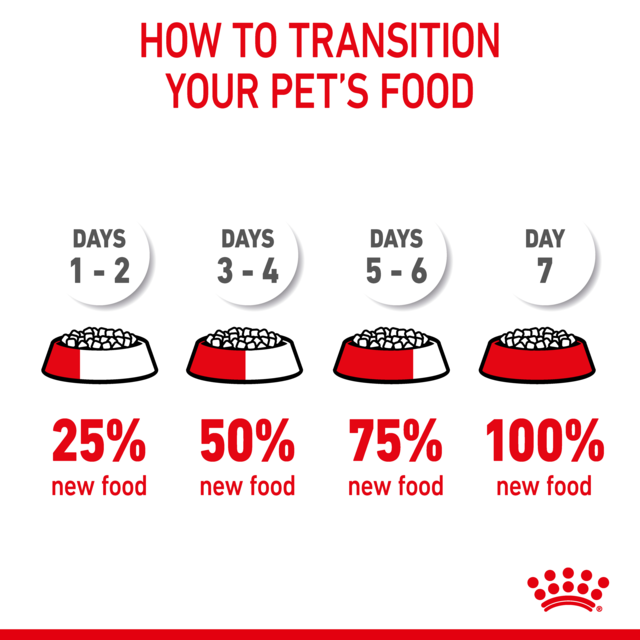 Royal Canin Hair & Skin Care Dry Cat Food - Product Image 8