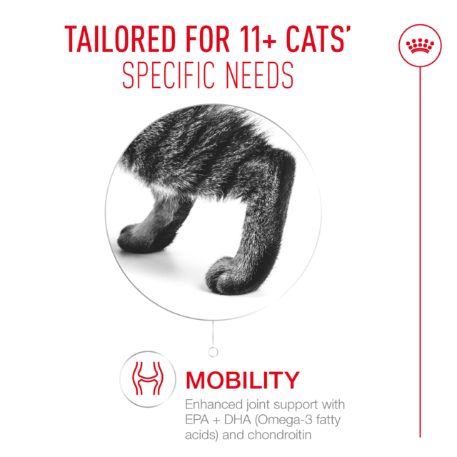 Royal Canin Ageing 11+ in Jelly Wet Cat Food - Product Image 3