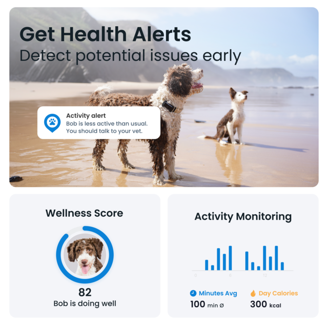 Tractive Dog 6 GPS  and Health Tracker  - Product Image 7