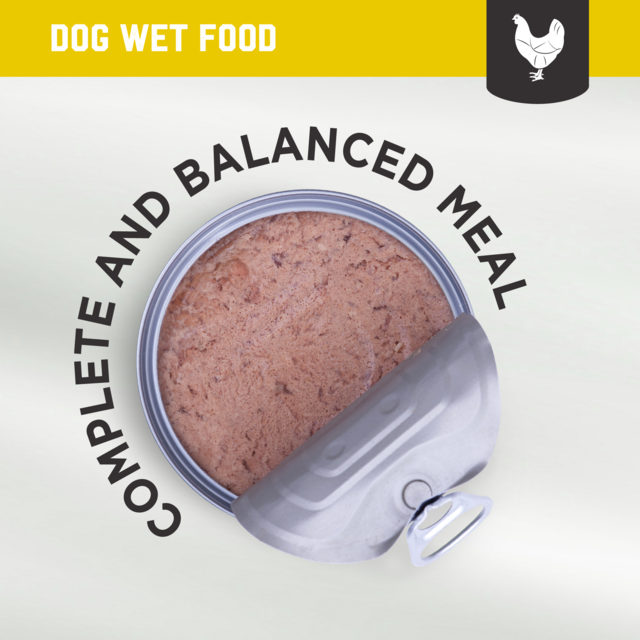 Kiwi Kitchens Chicken Wet Dog Food - Product Image 7
