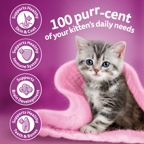 Whiskas Kitten Chicken & Tuna Dry Cat Food - Product Image 1