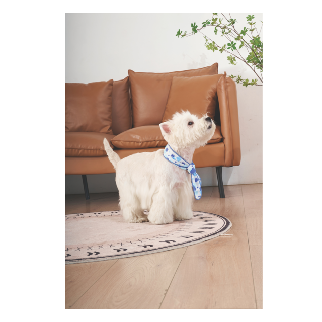 M-PETS Cooling Dog Scarf - Product Image 3