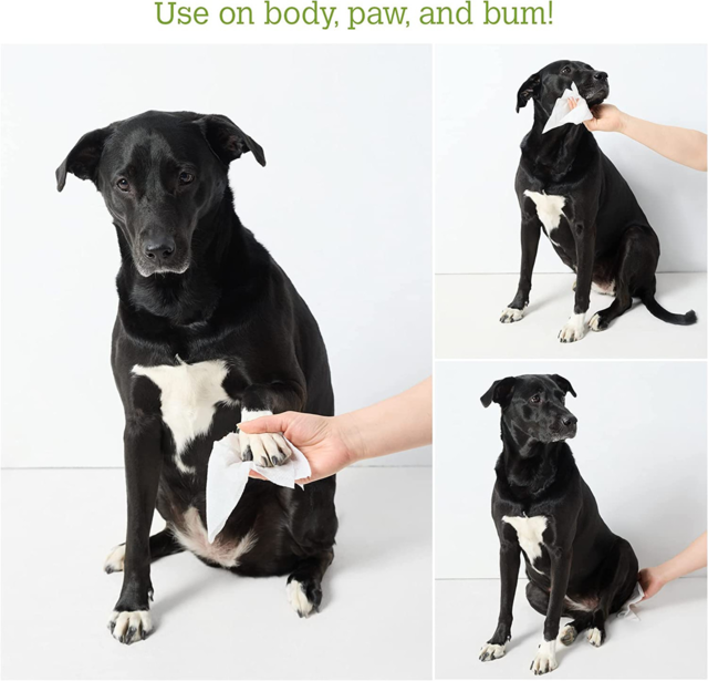 Earth Rated Compostable Dog Wipes - Product Image 4