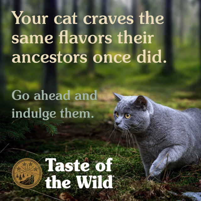 Taste of the Wild PREY Angus Beef Limited Ingredient Dry Cat Food - Product Image 7