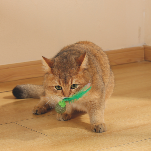 M-PETS Charmy Firefly Catnip Cat Toy - Product Image 4