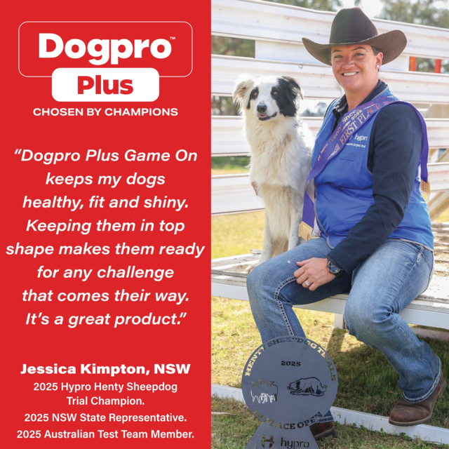 Dogpro Plus Adult Game On Aussie Chicken Beef & Kangaroo Dry Dog Food - Product Image 8
