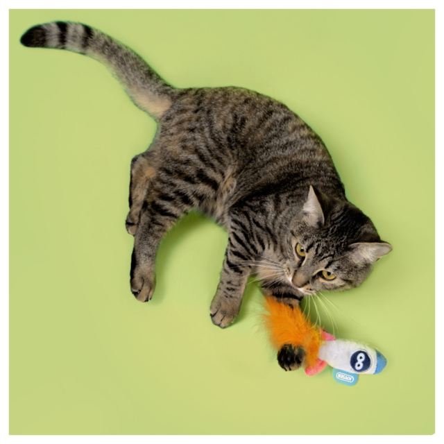 JOYSER Rocket Catnip Cat Toy - Product Image 3
